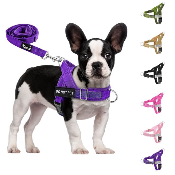 Eyein Hundegeschirr mit Leine für große mittelgroße Hunde, Weich gepolsterter Brustgeschirr mit 2 Leinenclips, Reflektierend & Leichtgewicht Anti Zug Geschirr für Spaziergänge Training, Lila, S