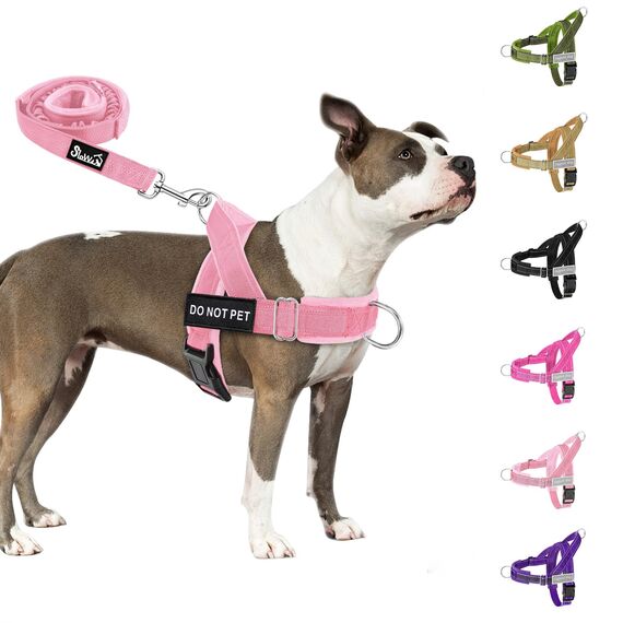 Eyein Hundegeschirr mit Leine für große mittelgroße Hunde, Weich gepolsterter Brustgeschirr mit 2 Leinenclips, Reflektierend & Leichtgewicht Anti Zug Geschirr für Spaziergänge Training, Rosa, M