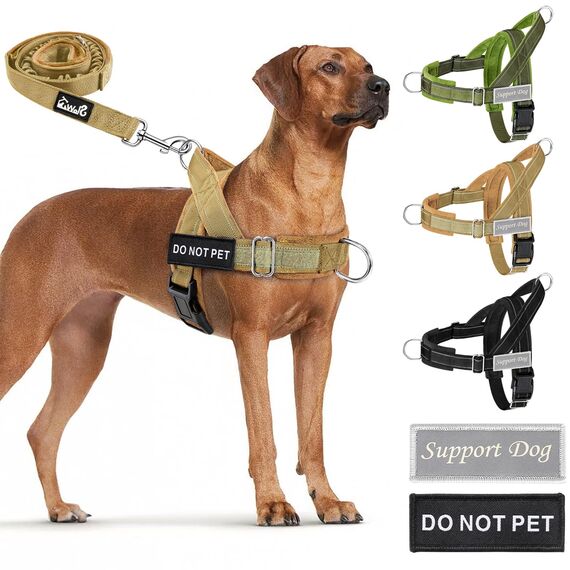 Eyein Hundegeschirr mit Leine für große mittelgroße Hunde, Weich gepolsterter Brustgeschirr mit 2 Leinenclips, Reflektierend & Leichtgewicht Anti Zug Geschirr für Spaziergänge Training, Braun, L