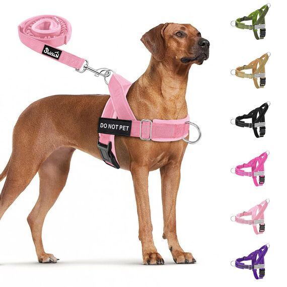 Eyein Hundegeschirr mit Leine für große mittelgroße Hunde, Weich gepolsterter Brustgeschirr mit 2 Leinenclips, Reflektierend & Leichtgewicht Anti Zug Geschirr für Spaziergänge Training, Rosa, L