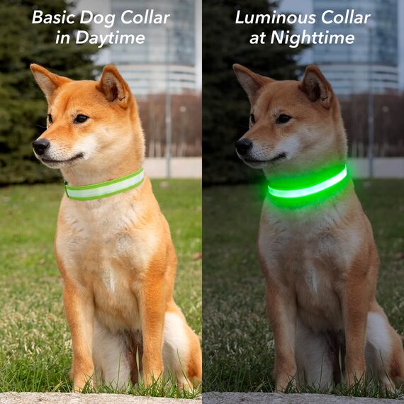 Visinite Leuchtendes LED-Hundehalsband, wiederaufladbar, wasserdicht, reflektierend, verstellbar, blinkend für mittelgroße und große Hunde, Grün, Größe M