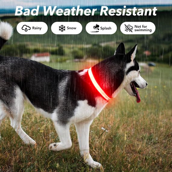 Visinite Leuchtendes LED-Hundehalsband, Wiederaufladbar, Wasserdicht, Reflektierend, Vollständig Verstellbar, Blinkend, für Mittelgroße und Große Hunde, Rot, Größe M