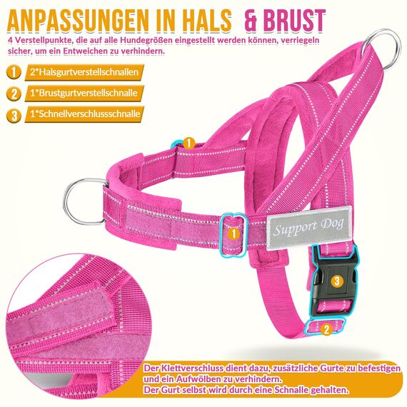 Eyein Hundegeschirr mit Leine für große mittelgroße Hunde, Weich gepolsterter Brustgeschirr mit 2 Leinenclips, Reflektierend & Leichtgewicht Anti Zug Geschirr für Spaziergänge Training, Magenta, S