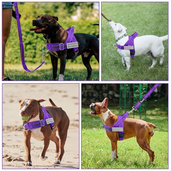 Eyein Hundegeschirr mit Leine für große mittelgroße Hunde, Weich gepolsterter Brustgeschirr mit 2 Leinenclips, Reflektierend & Leichtgewicht Anti Zug Geschirr für Spaziergänge Training, Lila, S