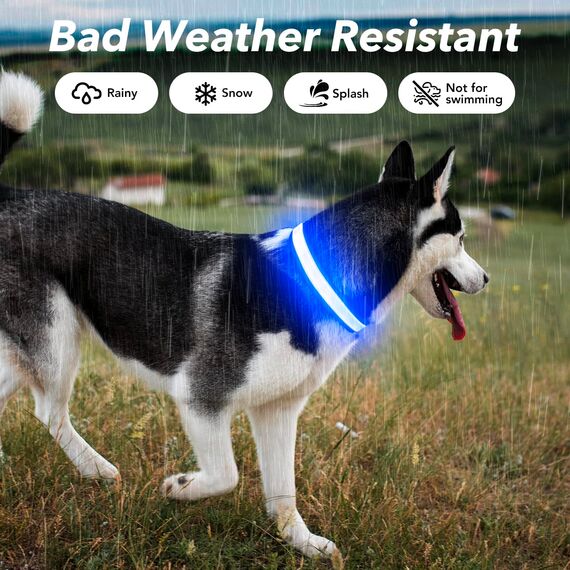 Visinite Leuchtendes LED-Hundehalsband - Wiederaufladbar, Wasserdicht, Reflektierend, Vollständig Verstellbar, Blinkend für Mittelgroße und Große Hunde