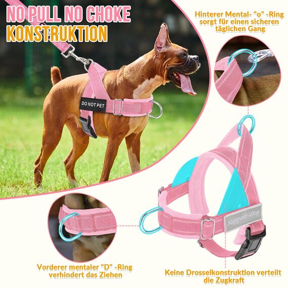 Eyein Hundegeschirr mit Leine für große mittelgroße Hunde, Weich gepolsterter Brustgeschirr mit 2 Leinenclips, Reflektierend & Leichtgewicht Anti Zug Geschirr für Spaziergänge Training, Rosa, L