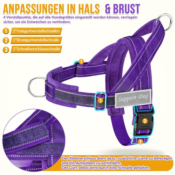 Eyein Hundegeschirr mit Leine für große mittelgroße Hunde, Weich gepolsterter Brustgeschirr mit 2 Leinenclips, Reflektierend & Leichtgewicht Anti Zug Geschirr für Spaziergänge Training, Lila, S