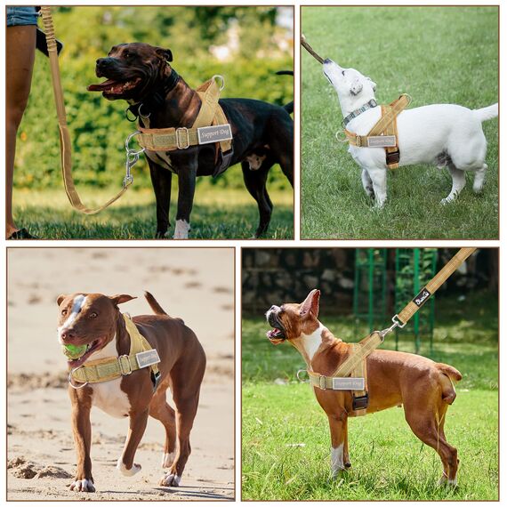 Eyein Hundegeschirr mit Leine für große mittelgroße Hunde, Weich gepolsterter Brustgeschirr mit 2 Leinenclips, Reflektierend & Leichtgewicht Anti Zug Geschirr für Spaziergänge Training, Braun, S