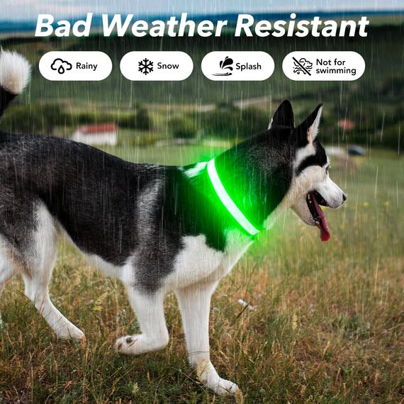Visinite Leuchtendes LED-Hundehalsband, wiederaufladbar, wasserdicht, reflektierend, verstellbar, blinkend für mittelgroße und große Hunde, Grün, Größe M
