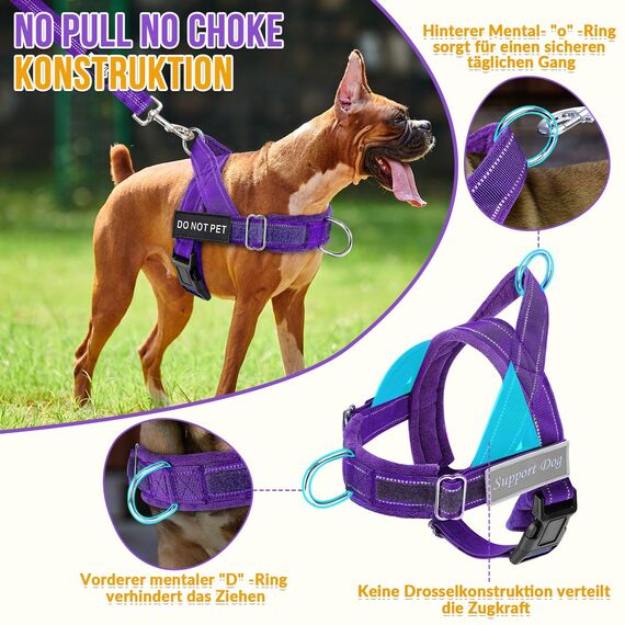 Eyein Hundegeschirr mit Leine für große mittelgroße Hunde, Weich gepolsterter Brustgeschirr mit 2 Leinenclips, Reflektierend & Leichtgewicht Anti Zug Geschirr für Spaziergänge Training, Lila, L