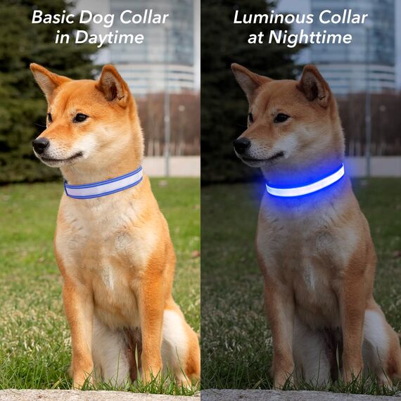 Visinite Leuchtendes LED-Hundehalsband - Wiederaufladbar, Wasserdicht, Reflektierend, Vollständig Verstellbar, Blinkend für Mittelgroße und Große Hunde