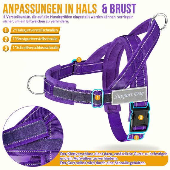 Eyein Hundegeschirr mit Leine für große mittelgroße Hunde, Weich gepolsterter Brustgeschirr mit 2 Leinenclips, Reflektierend & Leichtgewicht Anti Zug Geschirr für Spaziergänge Training, Lila, L