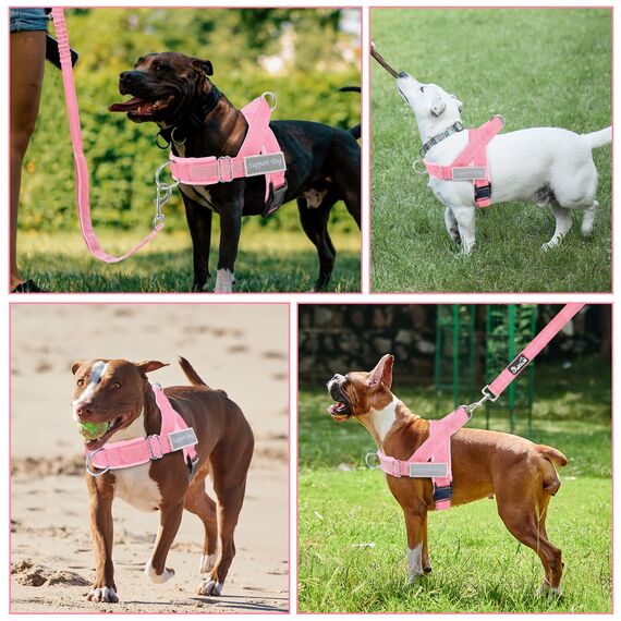 Eyein Hundegeschirr mit Leine für große mittelgroße Hunde, Weich gepolsterter Brustgeschirr mit 2 Leinenclips, Reflektierend & Leichtgewicht Anti Zug Geschirr für Spaziergänge Training, Rosa, L