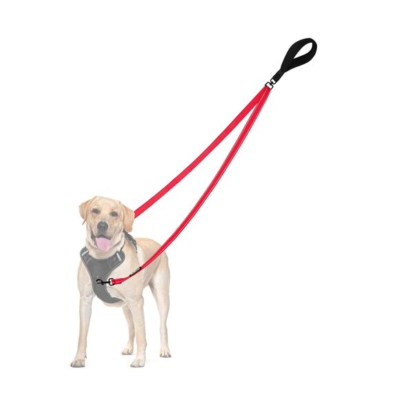 PetBonus No Pull Anti-Zieh Hundeleine, Keine Verwicklung Doppelleine für Anti-Zug Geschirr, Reflektierend Hundeleine zum Trainieren und Gassi gehen für große mittlere Hunde (Rot)