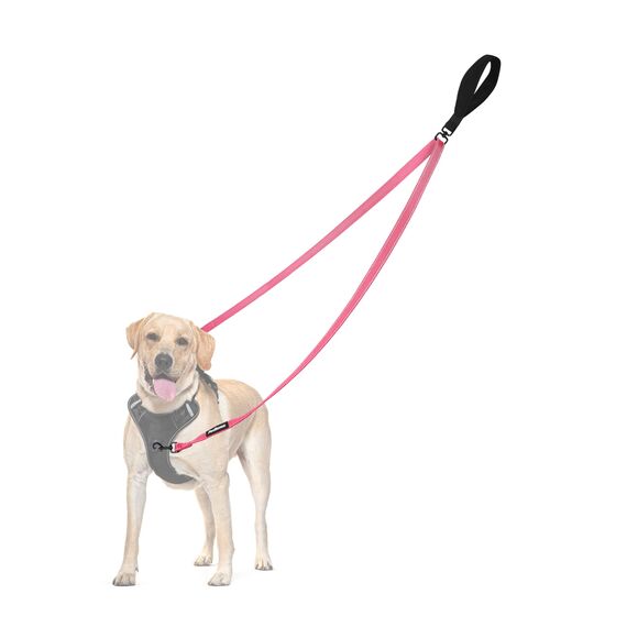 PetBonus No Pull Anti-Zieh Hundeleine, Keine Verwicklung Doppelleine für Anti-Zug Geschirr, Reflektierend Hundeleine zum Trainieren und Gassi gehen für große mittlere Hunde (Rosa)