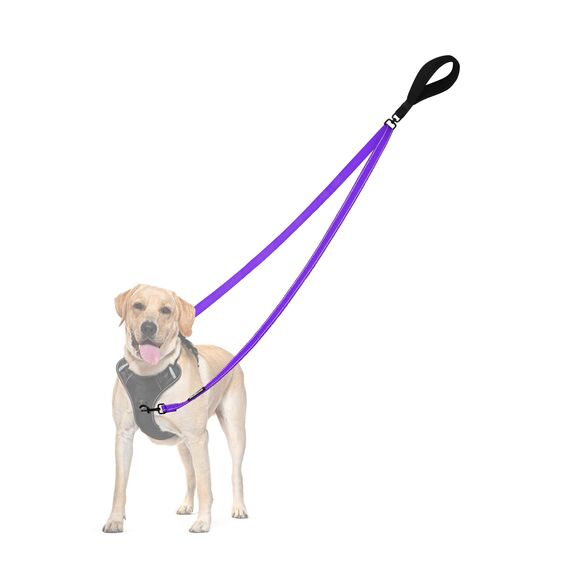 PetBonus No Pull Anti-Zieh Hundeleine, Keine Verwicklung Doppelleine für Anti-Zug Geschirr, Reflektierend Hundeleine zum Trainieren und Gassi gehen für große mittlere Hunde (Lila)