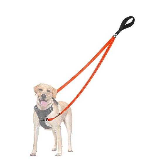 PetBonus No Pull Anti-Zieh Hundeleine, Keine Verwicklung Doppelleine für Anti-Zug Geschirr, Reflektierend Hundeleine zum Trainieren und Gassi gehen für große mittlere Hunde (Orange)