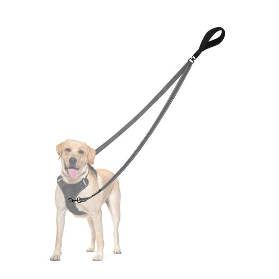 PetBonus No Pull Anti-Zieh Hundeleine, Keine Verwicklung Doppelleine für Anti-Zug Geschirr, Reflektierend Hundeleine zum Trainieren und Gassi gehen für große mittlere Hunde (Grau)