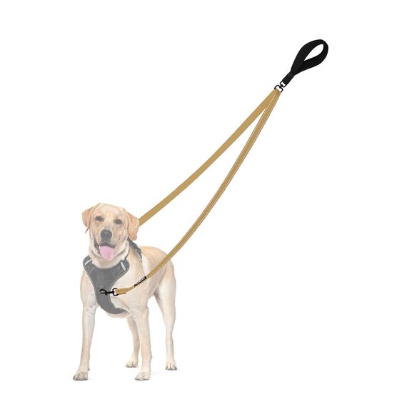 PetBonus No Pull Anti-Zieh Hundeleine, Keine Verwicklung Doppelleine für Anti-Zug Geschirr, Reflektierend Hundeleine zum Trainieren und Gassi gehen für große mittlere Hunde (Khaki)