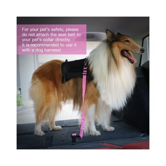 AUBELL Anschnallgurt Hund Auto,Einstellbar Haustier Auto sicherheitsgurt für Hunde, Bungee Hunde Anschnallgurt Geschirr Tether mit Clip Haken-Verschluss & Schnalle, Swivel Karabiner,Rosa
