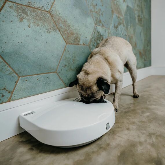Cat Mate Digitaler Futterautomat C500 Katzen Hunde Futterspender 5 Mahlzeiten