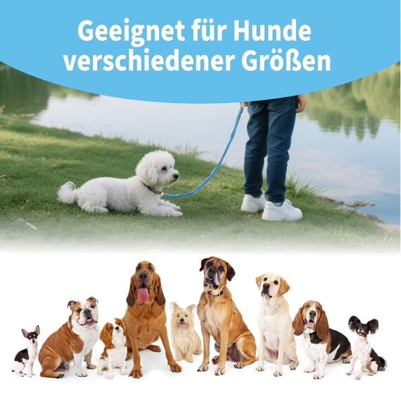 Retrieverleine mit Zugstopp, 180 cm Hundeleine mit Halsband, Witterungsbeständig Leine Hund Einstellbar Trainingsleine für Kleine bis Große Hunde, Hellblau