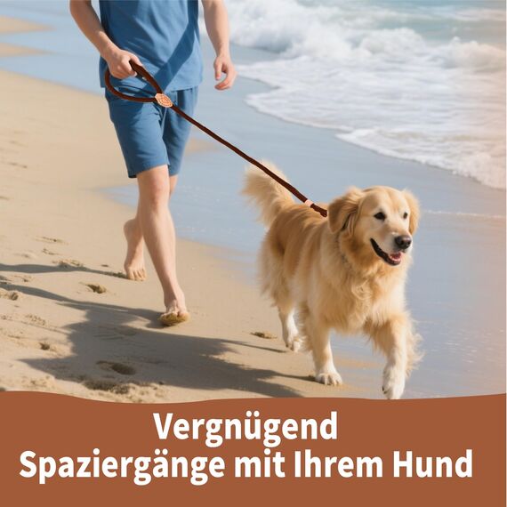Retrieverleine mit Zugstopp, 180 cm Hundeleine mit Halsband, Witterungsbeständig Leine Hund Einstellbar Trainingsleine für Kleine bis Große Hunde, Kaffee
