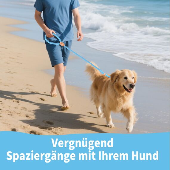 Retrieverleine mit Zugstopp, 180 cm Hundeleine mit Halsband, Witterungsbeständig Leine Hund Einstellbar Trainingsleine für Kleine bis Große Hunde, Hellblau