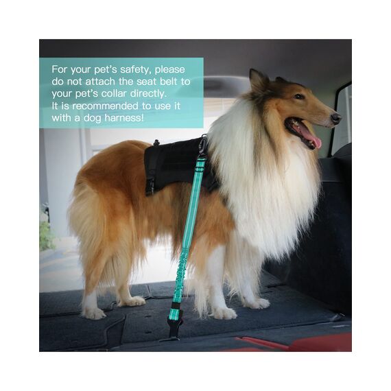 AUBELL Anschnallgurt Hund Auto,Einstellbar Haustier Auto sicherheitsgurt für Hunde, Bungee Hunde Anschnallgurt Geschirr Tether mit Clip Haken-Verschluss & Schnalle, Swivel Karabiner,Türkise
