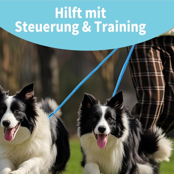 Retrieverleine mit Zugstopp, 180 cm Hundeleine mit Halsband, Witterungsbeständig Leine Hund Einstellbar Trainingsleine für Kleine bis Große Hunde, Hellblau