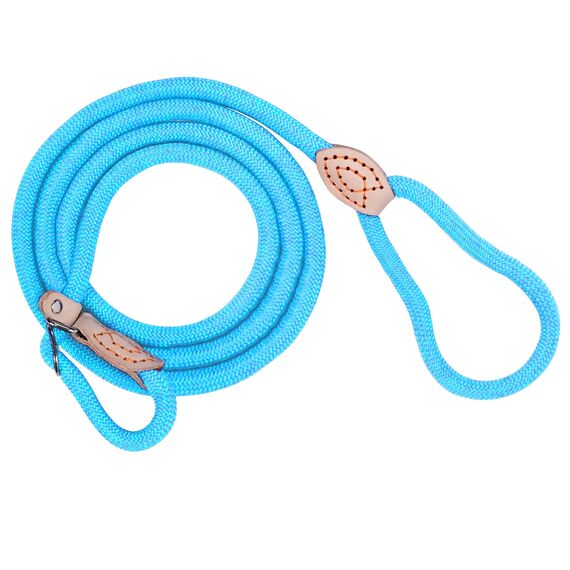 Retrieverleine mit Zugstopp, 180 cm Hundeleine mit Halsband, Witterungsbeständig Leine Hund Einstellbar Trainingsleine für Kleine bis Große Hunde, Hellblau