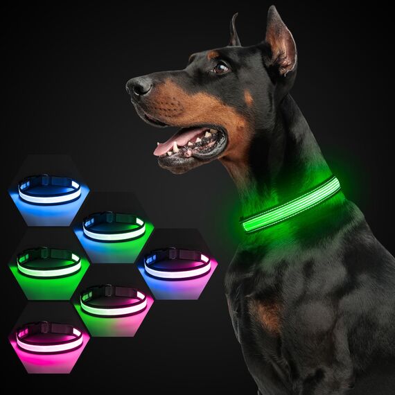 Leuchtendes Hundehalsband, wiederaufladbar über USB-C, reflektierendes, im Dunkeln leuchtendes Hundehalsband mit 7 Beleuchtungsmodi für Sicherheit bei Nacht (Grau, Large)