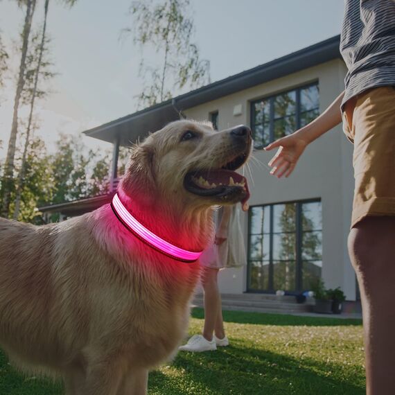Leuchtendes Hundehalsband, wiederaufladbar über USB-C, reflektierendes, im Dunkeln leuchtendes Hundehalsband mit 7 Beleuchtungsmodi für Sicherheit bei Nacht (Grau, Large)