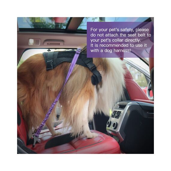 AUBELL Anschnallgurt Hund Auto,Einstellbar Haustier Auto sicherheitsgurt für Hunde, Bungee Hunde Anschnallgurt Geschirr Tether mit Clip Haken-Verschluss & Schnalle, Swivel Karabiner,Lila