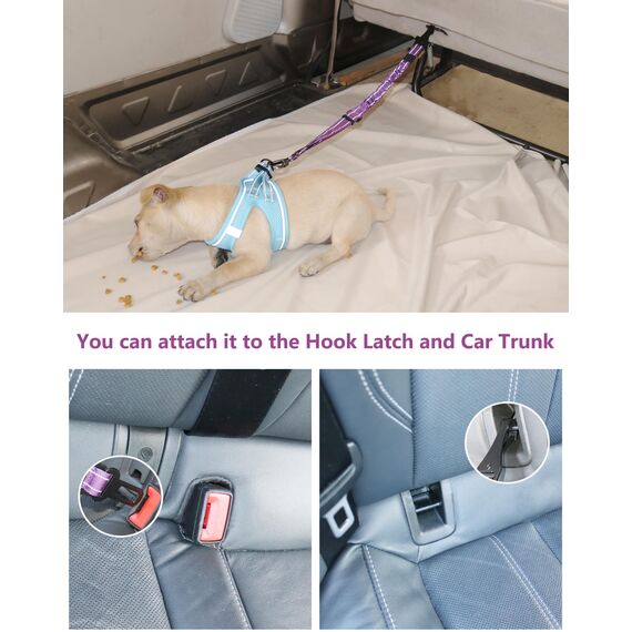 AUBELL Anschnallgurt Hund Auto,Einstellbar Haustier Auto sicherheitsgurt für Hunde, Bungee Hunde Anschnallgurt Geschirr Tether mit Clip Haken-Verschluss & Schnalle, Swivel Karabiner,Lila