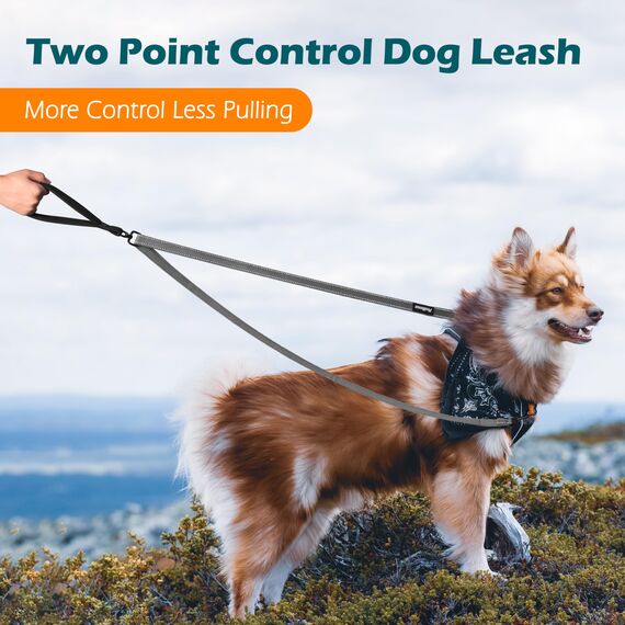 PetBonus No Pull Anti-Zieh Hundeleine, Keine Verwicklung Doppelleine für Anti-Zug Geschirr, Reflektierend Hundeleine zum Trainieren und Gassi gehen für große mittlere Hunde (Grau)