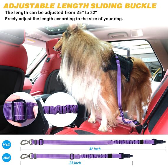 AUBELL Anschnallgurt Hund Auto,Einstellbar Haustier Auto sicherheitsgurt für Hunde, Bungee Hunde Anschnallgurt Geschirr Tether mit Clip Haken-Verschluss & Schnalle, Swivel Karabiner,Lila