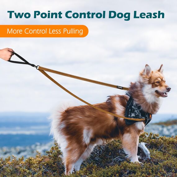 PetBonus No Pull Anti-Zieh Hundeleine, Keine Verwicklung Doppelleine für Anti-Zug Geschirr, Reflektierend Hundeleine zum Trainieren und Gassi gehen für große mittlere Hunde (Braun)