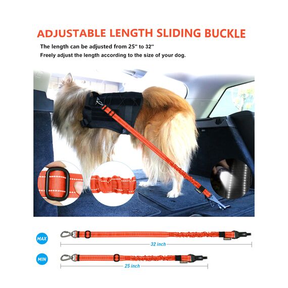 AUBELL Anschnallgurt Hund Auto,Einstellbar Haustier Auto sicherheitsgurt für Hunde, Bungee Hunde Anschnallgurt Geschirr Tether mit Clip Haken-Verschluss & Schnalle, Swivel Karabiner, Orange