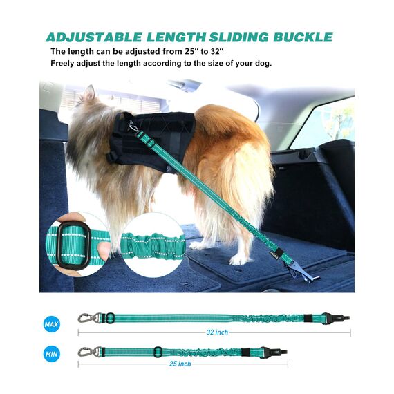 AUBELL Anschnallgurt Hund Auto,Einstellbar Haustier Auto sicherheitsgurt für Hunde, Bungee Hunde Anschnallgurt Geschirr Tether mit Clip Haken-Verschluss & Schnalle, Swivel Karabiner,Türkise