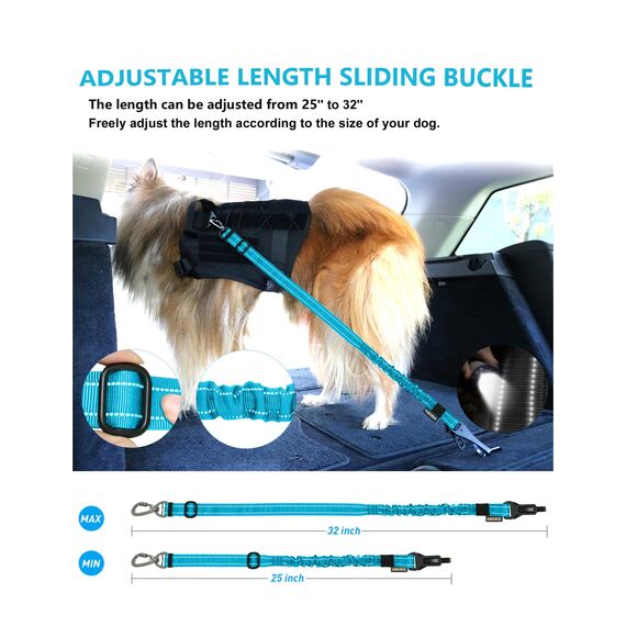 AUBELL Anschnallgurt Hund Auto,Einstellbar Haustier Auto sicherheitsgurt für Hunde, Bungee Hunde Anschnallgurt Geschirr Tether mit Clip Haken-Verschluss & Schnalle, Swivel Karabiner,Blau