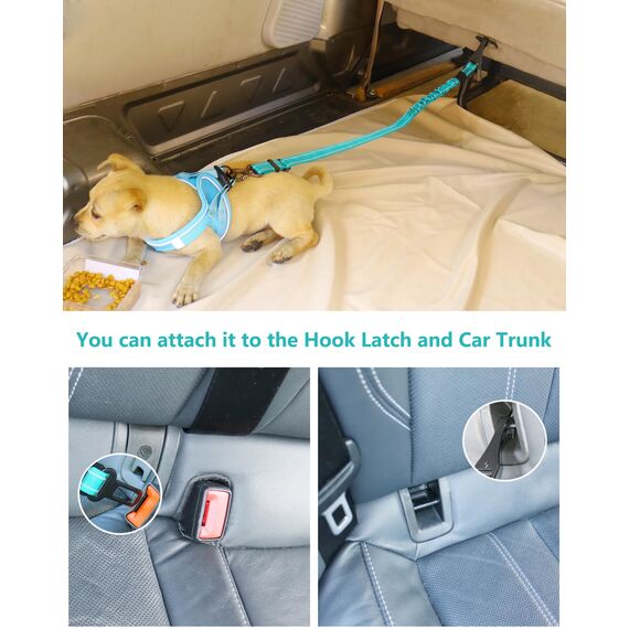 AUBELL Anschnallgurt Hund Auto,Einstellbar Haustier Auto sicherheitsgurt für Hunde, Bungee Hunde Anschnallgurt Geschirr Tether mit Clip Haken-Verschluss & Schnalle, Swivel Karabiner,Türkise