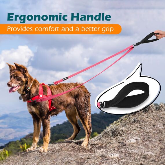 PetBonus No Pull Anti-Zieh Hundeleine, Keine Verwicklung Doppelleine für Anti-Zug Geschirr, Reflektierend Hundeleine zum Trainieren und Gassi gehen für große mittlere Hunde (Rosa)