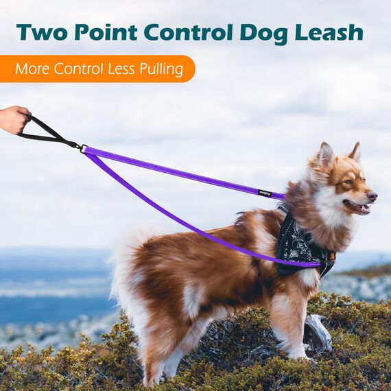 PetBonus No Pull Anti-Zieh Hundeleine, Keine Verwicklung Doppelleine für Anti-Zug Geschirr, Reflektierend Hundeleine zum Trainieren und Gassi gehen für große mittlere Hunde (Lila)