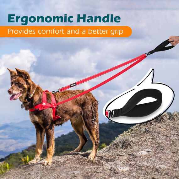 PetBonus No Pull Anti-Zieh Hundeleine, Keine Verwicklung Doppelleine für Anti-Zug Geschirr, Reflektierend Hundeleine zum Trainieren und Gassi gehen für große mittlere Hunde (Rot)