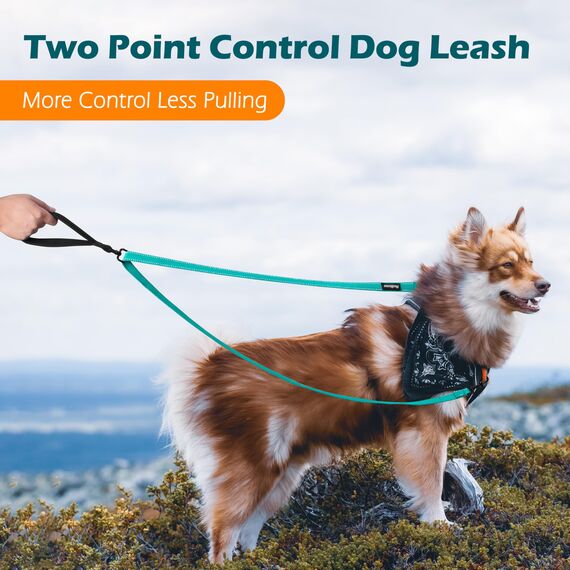PetBonus No Pull Anti-Zieh Hundeleine, Keine Verwicklung Doppelleine für Anti-Zug Geschirr, Reflektierend Hundeleine zum Trainieren und Gassi gehen für große mittlere Hunde (Türkis)