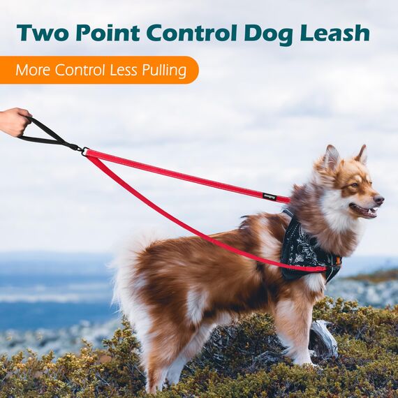 PetBonus No Pull Anti-Zieh Hundeleine, Keine Verwicklung Doppelleine für Anti-Zug Geschirr, Reflektierend Hundeleine zum Trainieren und Gassi gehen für große mittlere Hunde (Rot)