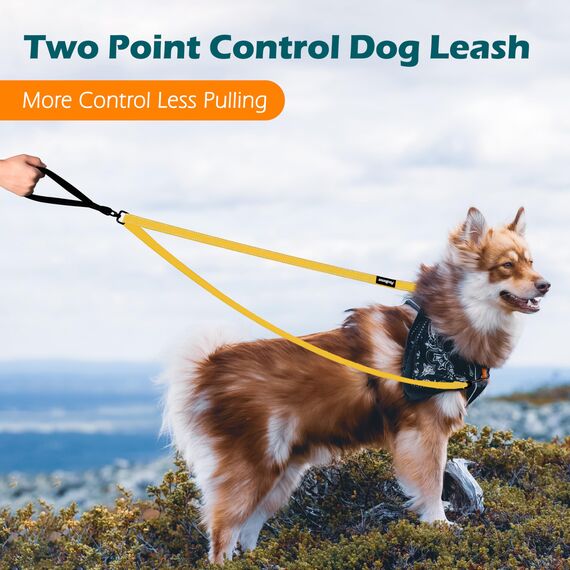 PetBonus No Pull Anti-Zieh Hundeleine, Keine Verwicklung Doppelleine für Anti-Zug Geschirr, Reflektierend Hundeleine zum Trainieren und Gassi gehen für große mittlere Hunde (Gelb)