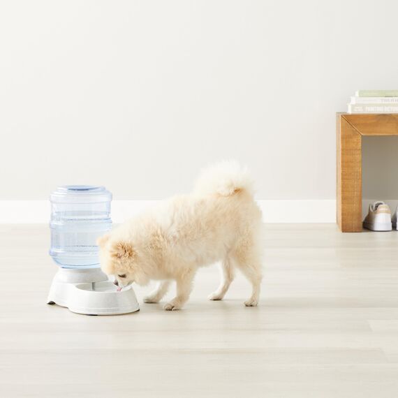Amazon Basics Futter- und Wasserspender für Haustiere, Tränke, 3.8 liters, Größe S, Transparent, Hunde und Katzen, 1 Einheit