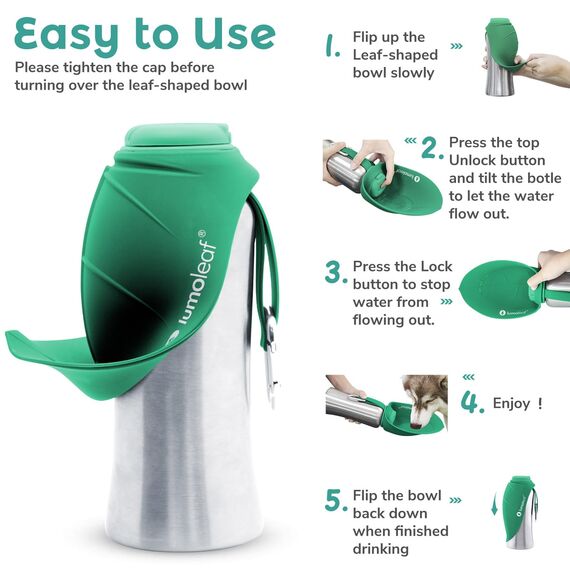 LumoLeaf Hundetrinkflasche für unterwegs, 800ml Edelstahl Trinkflasche Hund, Tragbare Haustier Wasserflasche, Hunde Wasserspender Reise Zubehör für Wandern und Campen (Grün)